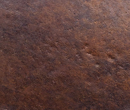 rocky mountain rust bronze
